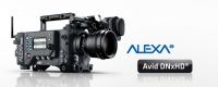 ALEXA DNxHD