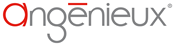 ANGENIEUX